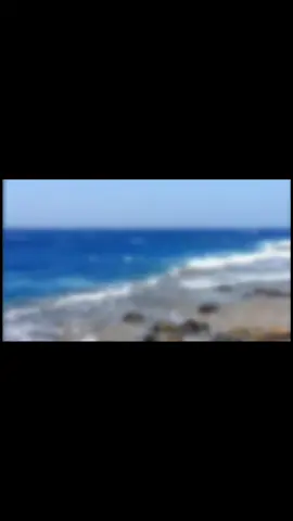 على شاطئ مقنا، حيث يلتقي البحر بالسماء كأنهما يتعاهدان على الأبدية، يعود بك المكان إلى أوّل أحلامك الصغيرة. هنا، كانت الرمال ملعب الطفولة، تبني عليها قلاعًا من وهم وتتركها للأمواج لتُعيد تشكيلها كأنها تعلّمك أن البداية دائمًا ممكنة. كل موجة تهمس بضحكاتٍ بعيدة، كأنها أصوات أصدقاء صغار مرّوا وتركوا في الذاكرة أثرًا لا يُمحى. البحر في مقنا لا يكتفي بالزُرقة والهدوء، بل يفتح أبوابًا للخيال؛ فتشعر أن مركبًا قادمًا من الأفق سيحملك إلى مغامرة تنتظر منذ زمن. وعند الغروب، حين يغمر اللون الذهبي الرمال، تتداعى الصور في بالك: أول مرة لمست الماء، أول مرة ركضت خلف النوارس، وأول مرة تمنّيت أن تكبر بسرعة لتلحق بأحلامك. شاطئ مقنا ليس مجرد مكان، بل ذاكرة طفولة وأحلام مؤجلة، ووعدٌ بأن الجمال الذي أسر قلوبنا صغارًا، سيبقى يربّت علينا ما حيينا                            #مقناء #nostalgic #الماضي #ذكريات #fyp 