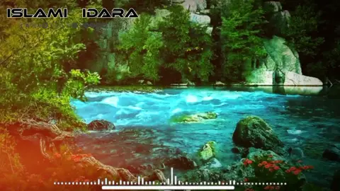 #islami_idara #islamic_video #pashto_nazam #foryou #صلی_اللہ_علیه_وآله_وسلم  زری زری دی زم له خاره 