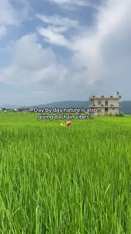 #dashain_special #dashainvibes 