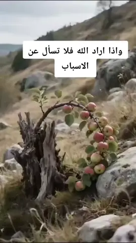 #سبحان_الله_وبحمده_سبحان_الله_العظيم 