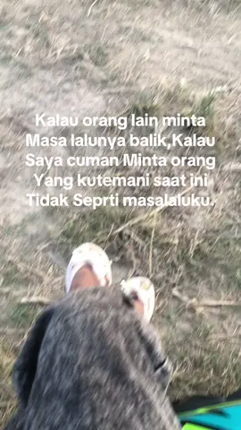 #Senja#bugismakassar#Storybugis#stroymakassar #bugistiktok  