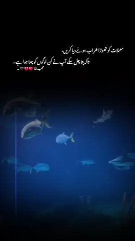 معملات کو تھوڑا خراب ہونے دیا کریں تاکہ پتا چل سکے آپ نے کن لوگوں کو چنا ہوا ہے #1millionaudition #aesthetic #foryou #foryoupagе #tranding 