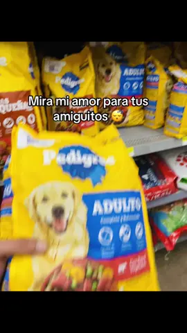 #paratii #indirectasdirectas #humor #viral dales de comer 💁🏻💁🏻💁🏻💁🏻
