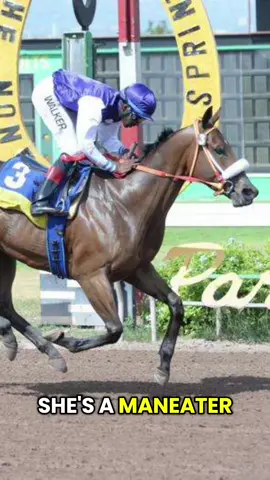 Replying to @crmsn_conqueror Jamaica’s Greatesr Racehorse She’s A Maneater #horseracing #umamusume #caymanaspark #shesamaneater️ #racehorse 