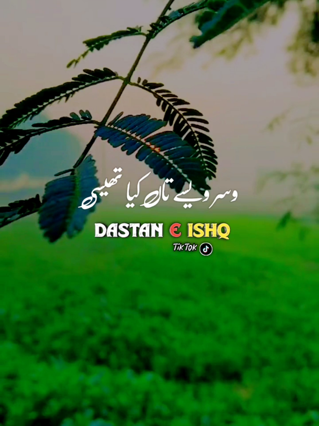 #foryou #foryoupage #foryoupageofficiall #fyp #fypシ #fypシ゚viral #saraiki #saraikipoetry #growmyaccount #burhantv #standwithkashmir #sadpoetry #viralpoetry #whatsappstatus #trendingvideo #whatsppstatsus #background #backgroundmusicforpoetry #deraghazikhan #rahimyarkhan #deraghazikhan #plzunfrezemyaccount #dontunderreviewmyvideo 