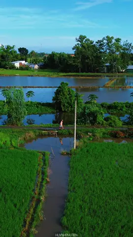 chiều về thăm quê thăm nội tóc đã bạc phơ... Cảnh đẹp miền tây, Phong cảnh quê hương, #mientay #huynhphutien #fyp 