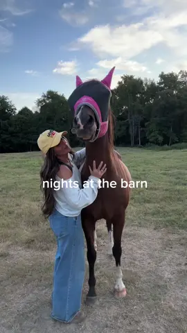 #diml #horses #countrylife #Vlog #riding 
