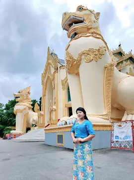 ငါစိတ်ဆင်းရဲတယ်ငါကစီးရတာလားမစီးရတာလားလေယာဉ်ပျံလားခြင်္သေ့ပျံလား😵‍💫🙄