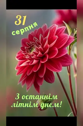 #доброгоранку☕🍰 