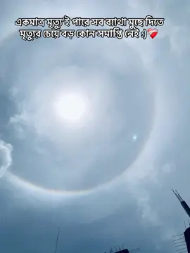 🙂❤️‍🩹 . . #500kviews #plzforyoupage #fyppppppppppppppppppppppp #500kviews #plzforyoupage @For You @Reds__Park @TikTok Creators Vietnam 
