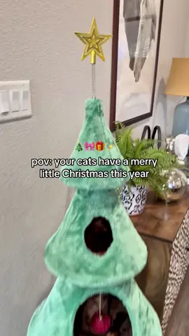 Omggggg this cat Christmas tree is absolutely perfect 🎄🎄✨🎀 @SHA CERLIN  #cattree #cattower #christmastree #catsoftiktok #christmas