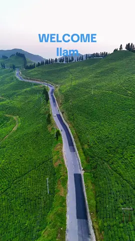 Kanyam Ilam Eastern paradise of Nepal ❤️ #drone #dronevideo #viral #foryoupage #fyp 