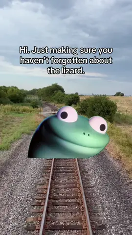 #lizard #meme #fyp #lizardtok 