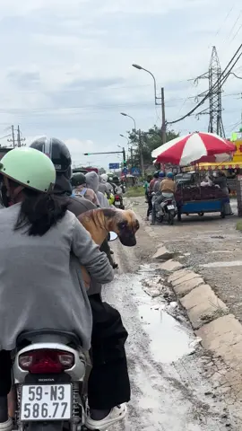 Trời nắng nóng mà để em nó cời cời vậy hả!!!! #viral #cunyeu #fyp 