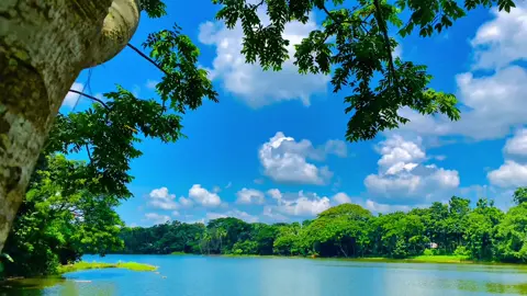 প্রকৃতির মাঝেই নিজের মুগ্ধতা খুজে পাওয়া যায় 😊🌿 #প্রকৃতি #sky #unfrezzmyaccount #viral_video_tiktok #foryoupageofficiall @💫 ই ম রা ন 💥 