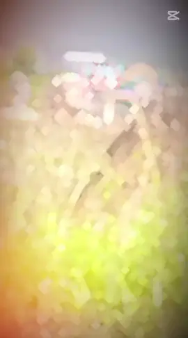 میرا سونا پنڈ ضلع میا چنوں 