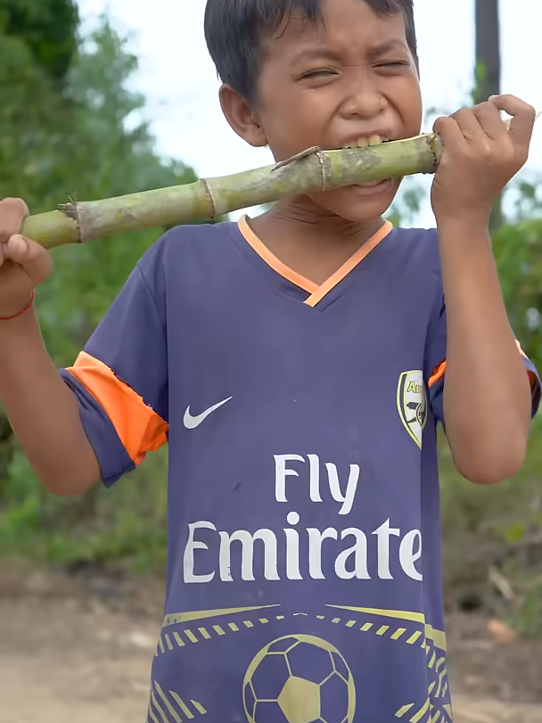 Survival Skills： Thirsty in Forest Found Cane #Camping #Forest #Bushcraft #shorts #survivalskills