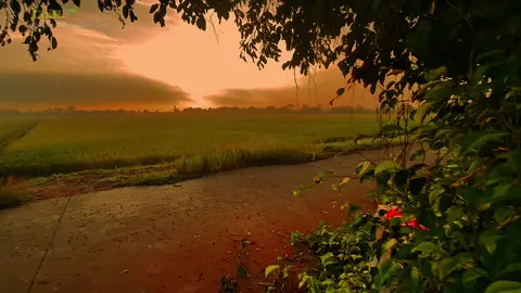 “Ai chê cười mặc ai ta cũng nhau vươn vai mà sống…#xuhuong #chill #mientay #tamtrang #xh 