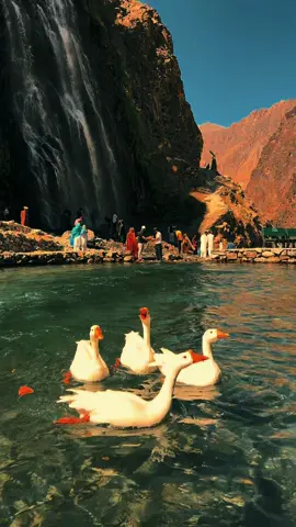 یہ لـفظوں کـی شـرارت سـے ذرا ســنبھل کـر رہنـا تـم 🍁 محـبت لفـظ ہــے لیـکن یہ اکثـر ہـو بـھی جـاتـی ہـے۔۔۔