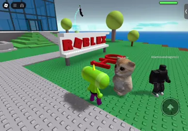 they walked away from the computer  #roblox #katamari 