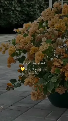 #قران_كريم_ارح_سمعك_وقلبك♡ #قران_صلي_علي_النبي #اكسبلور 