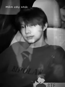 Mầm cây nhỏ và người chăm sóc #yuanheng #wenhan #niehan #rin_hansara #minn_yhwh 