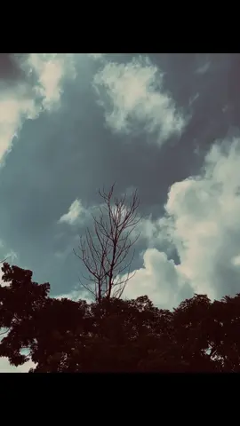 New BG নিয়ে নাও  . . . #caption #trending 