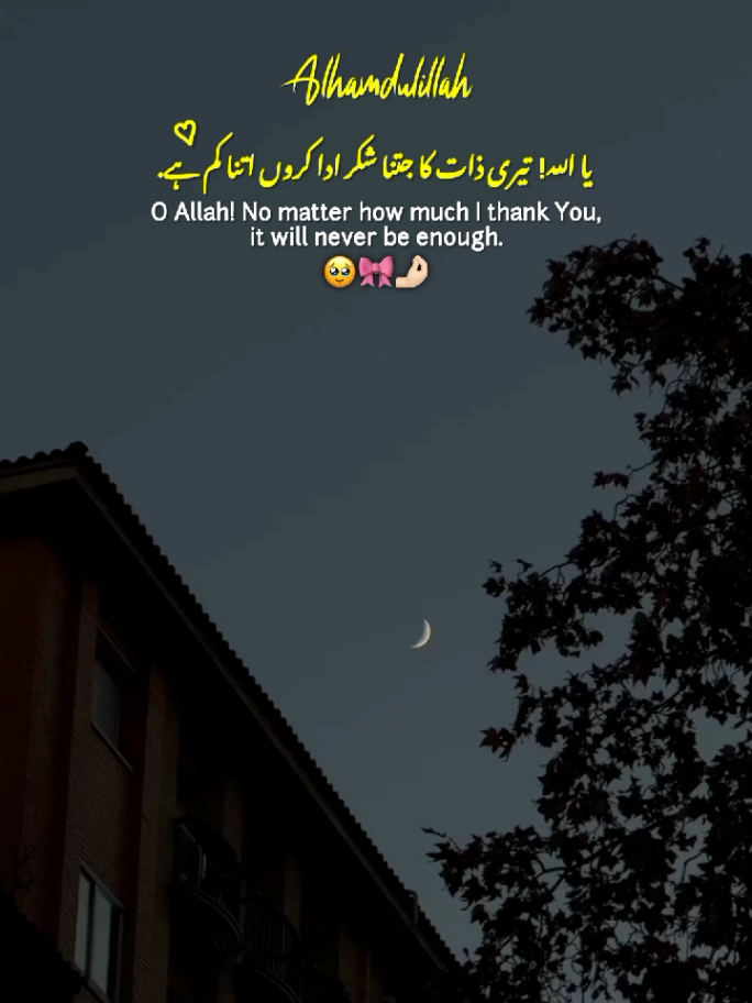 Alhamdulillah 🤲🏻💓 || 150K 🎀❤️ || Alhamdulillah New Status Video ✨ #alhamdulillah #new #statusvideo #fyp #foryoupage 