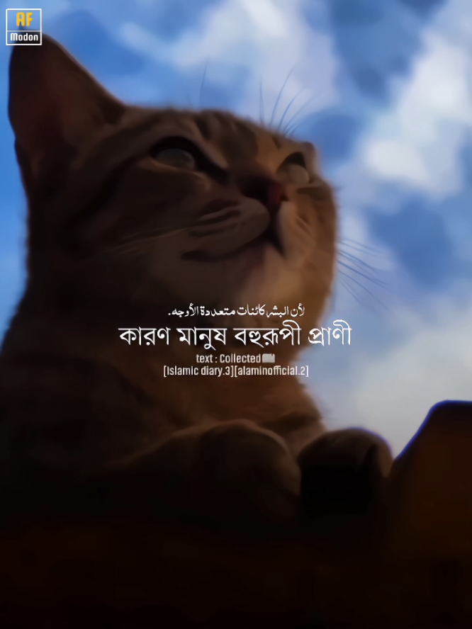 মানুষ হয়েও আজ মানুষ'কে বেশি ভয় পাই,কারণ মানুষ বহুরূপী প্রাণী💔!! #islamic_diary3 #alaminofficial2 #AF_modon #allah 