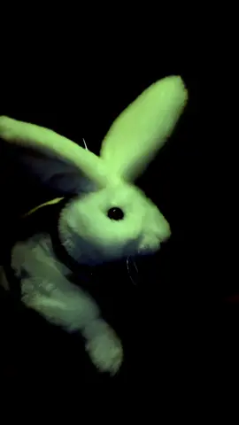 no more tears - ozzy osborne #bunny #metal #ozzyosbourne #ripozzyosborne #ozzy #metalhead #metalcore #puppet #skipperrabbit 
