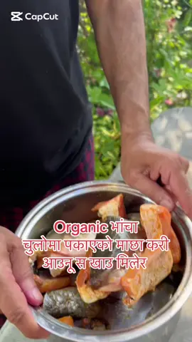 #creatorsearchinsights #ttiktoknepal🙏❤️🌹 #fishcurry #tiktaknepal🇳🇵🇳🇵🇳🇵 #nepaliinaustralia🇳🇵🇦🇺 