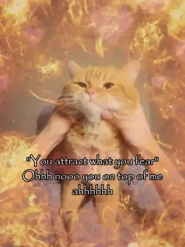 ohhh nooo #joke #relatable #meme #cattok #couple 