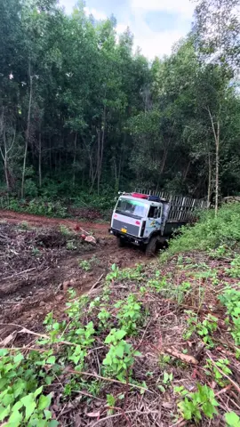🤭 lâu rồi mới tes thử bò pay