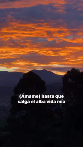 Mis mañanas ❤️ #salsaromantica #amame #salsita #amanecer #popayan 