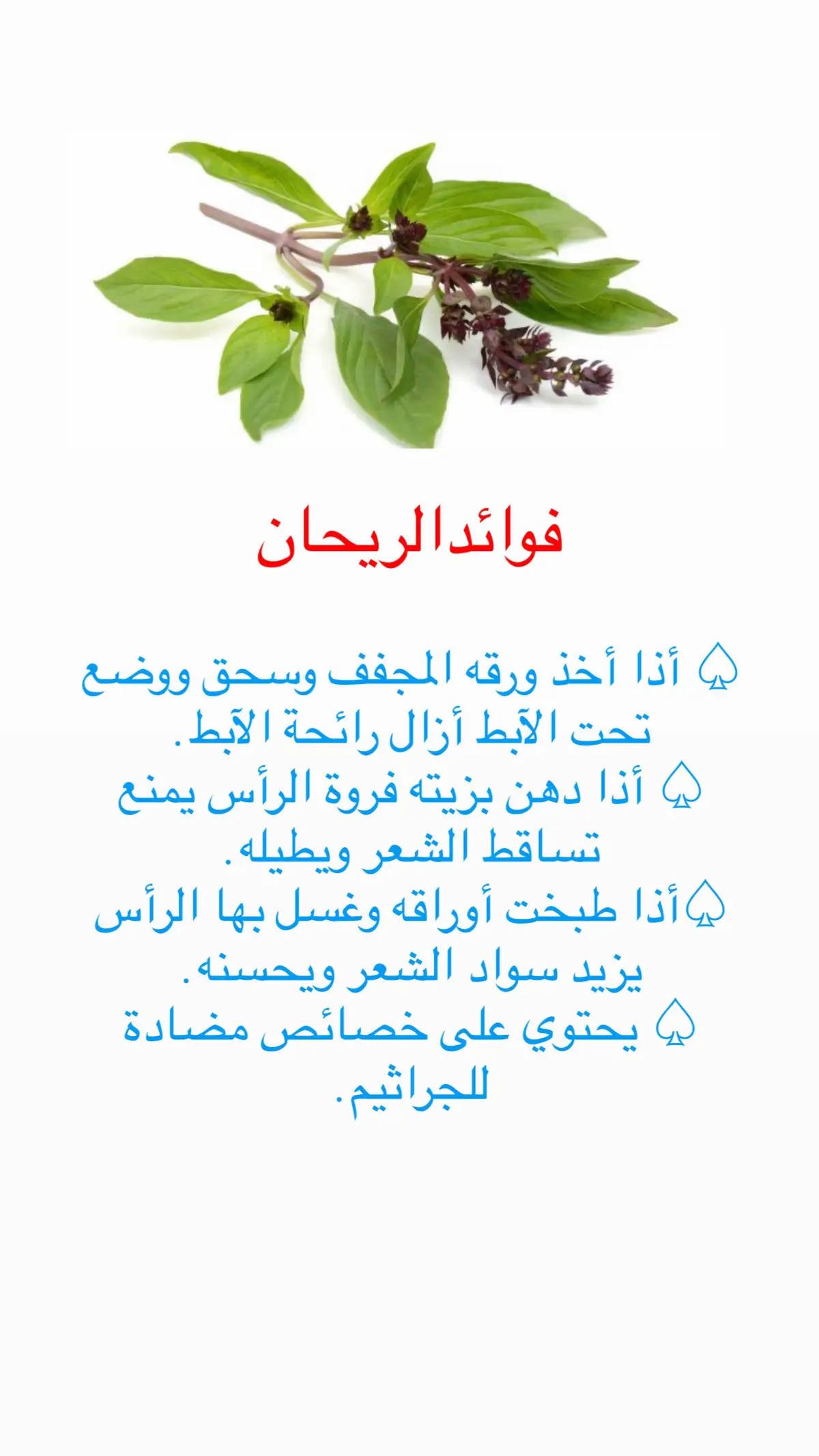 #معلومات_عامة 
