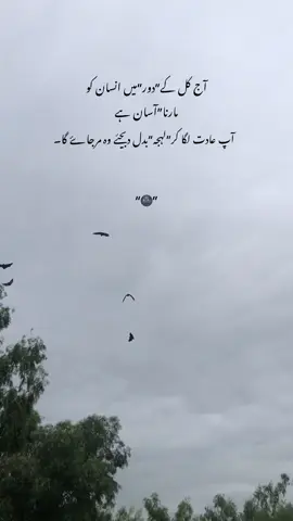 #fyp 
