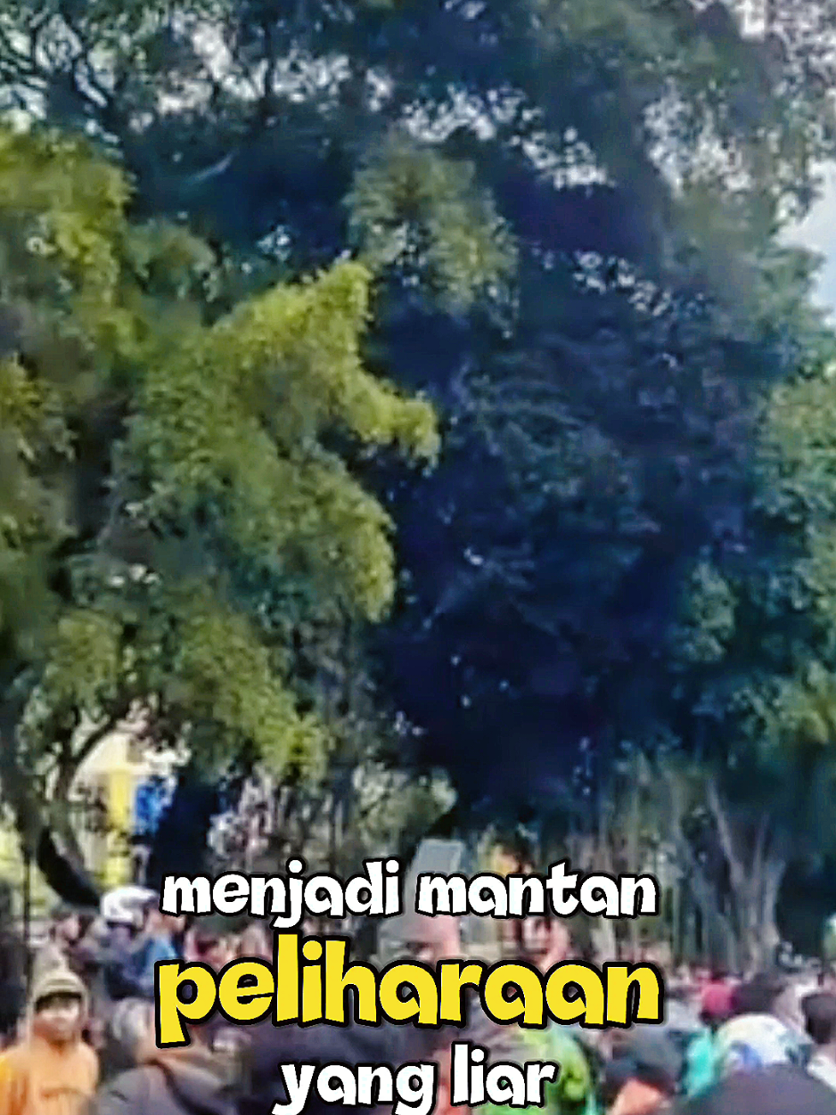 INDONESIA 2030 PASAL STATE WW 3 NEW WORLD ORDER #fyppppppppppppppppppppppp #doktertifa #thenewworldorder #indonesia2030 #ww3 