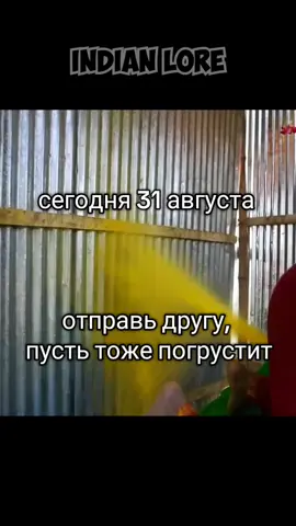 #лето #31августа #последнийденьлета #разбитыекорабли #заброшеныйберег #которыйлюбилимы #индусы #грусть #конец 