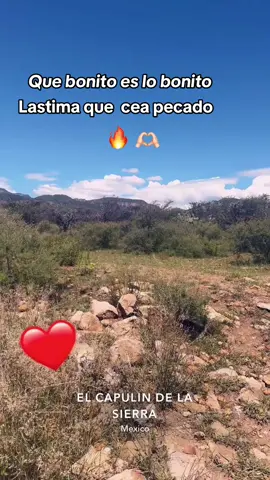 #🤠 #💕 🫶🏻