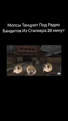 #МопсыТанцуютПодРадио #Бандиты #Сталкер #Зона #МузыкаДляДуши #Саундтрек #20минут #МузыкальноеПогружение #ЧтоПослушать #creatorsearchinsights 