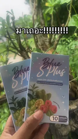 #ของดีบอกต่อ #บลูเอสพลัส #บลูเอสเม็ดฟ้า #แต้วศรีมาแล้วจ้า 