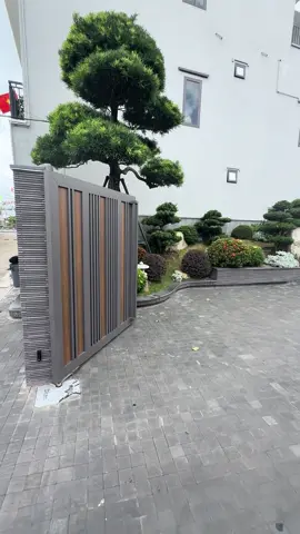 Thời tiết đẹp