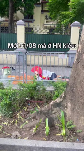Hôm nay mới 31/08 thôi mà 🥹🥹 Còn cơ hội nào cho người tối mùng 1 không cả nhà 🫠 #a80 #hanoi #vietnam #viral 