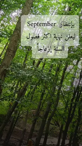 #رجع_ايلول #bruxelles #صباح_الخير #2025 