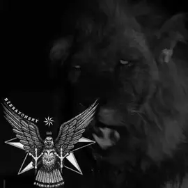 ||•#tutmalıdı🖐🏾⚜️#partdadungetsın👍🏿🖤#deyerlisiz📌⚡#partdadun🖤💸🔪 #tutdubu🔱👑 