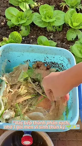 “Rác bếp thành phân sạch, nhờ 1 gói men vi sinh thần kỳ #ủphânhữucơ #menvisinh #gardening #biếnracthanhvàng #trồngrau 