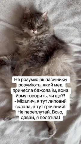 Пасічник #мед #пасіка #гречаниймед #жартиукраїнською🇺🇦 #гуморукраїнською 