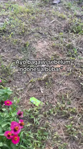 Tetap nguli dan kerja walaupun sedang terjadi kekacauan di tanah air😌#sedangterjadidemo#demodpr#fypシ゚#galaubrutal#indonesia🇮🇩 