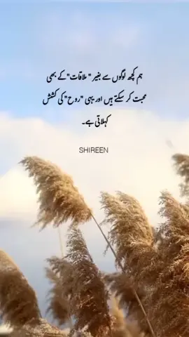 #shireen #ForYou #FYP #viralproblem😢 #100000k @TikTok 