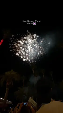 Grabe ka satisfying sa mata🎆🇯🇵 #hanabi #japan #yasumi #ofwjapan #fyp 